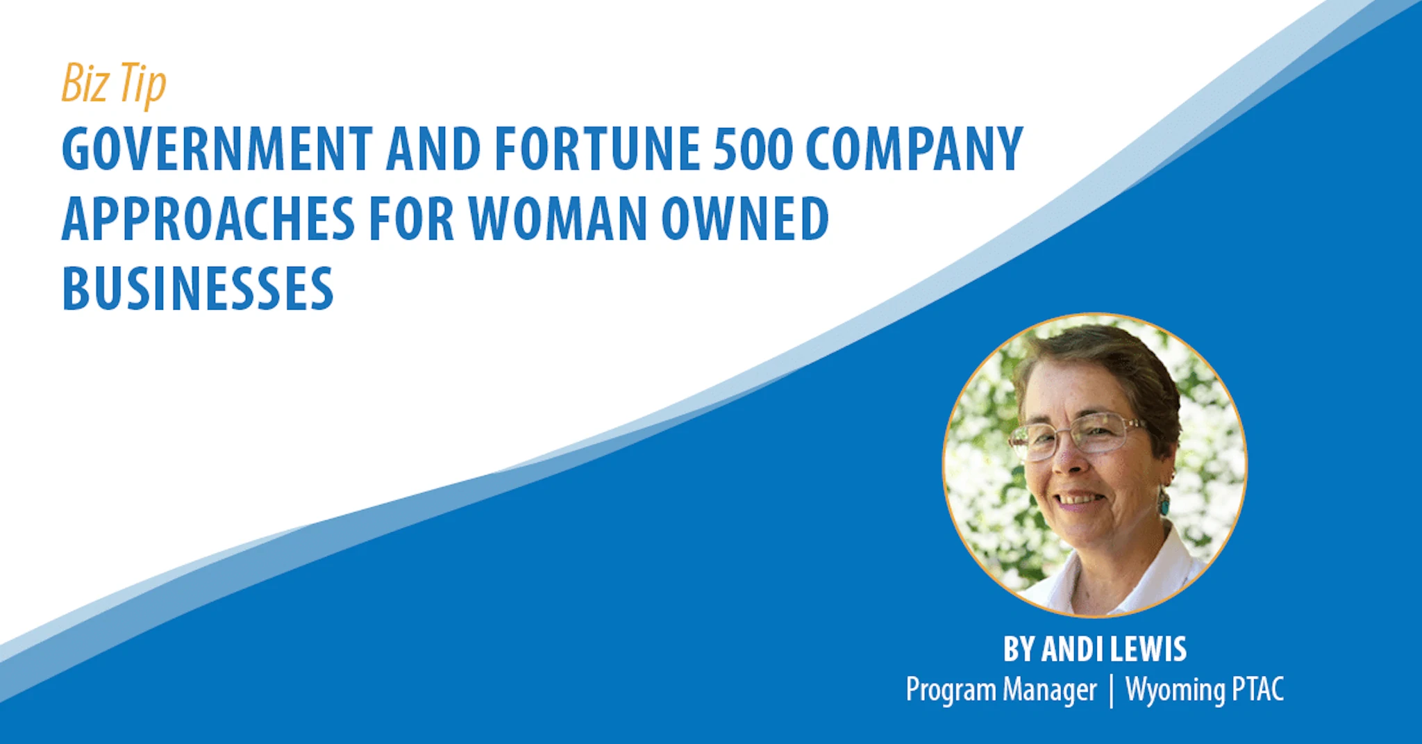Government and Fortune 500 Company Approaches for Woman-Owned Businesses