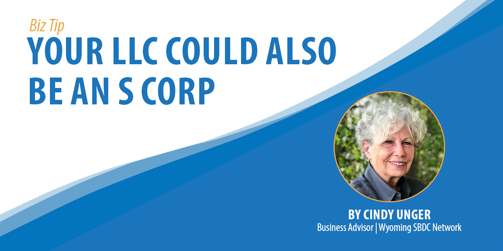 Your LLC Could Be an S Corp