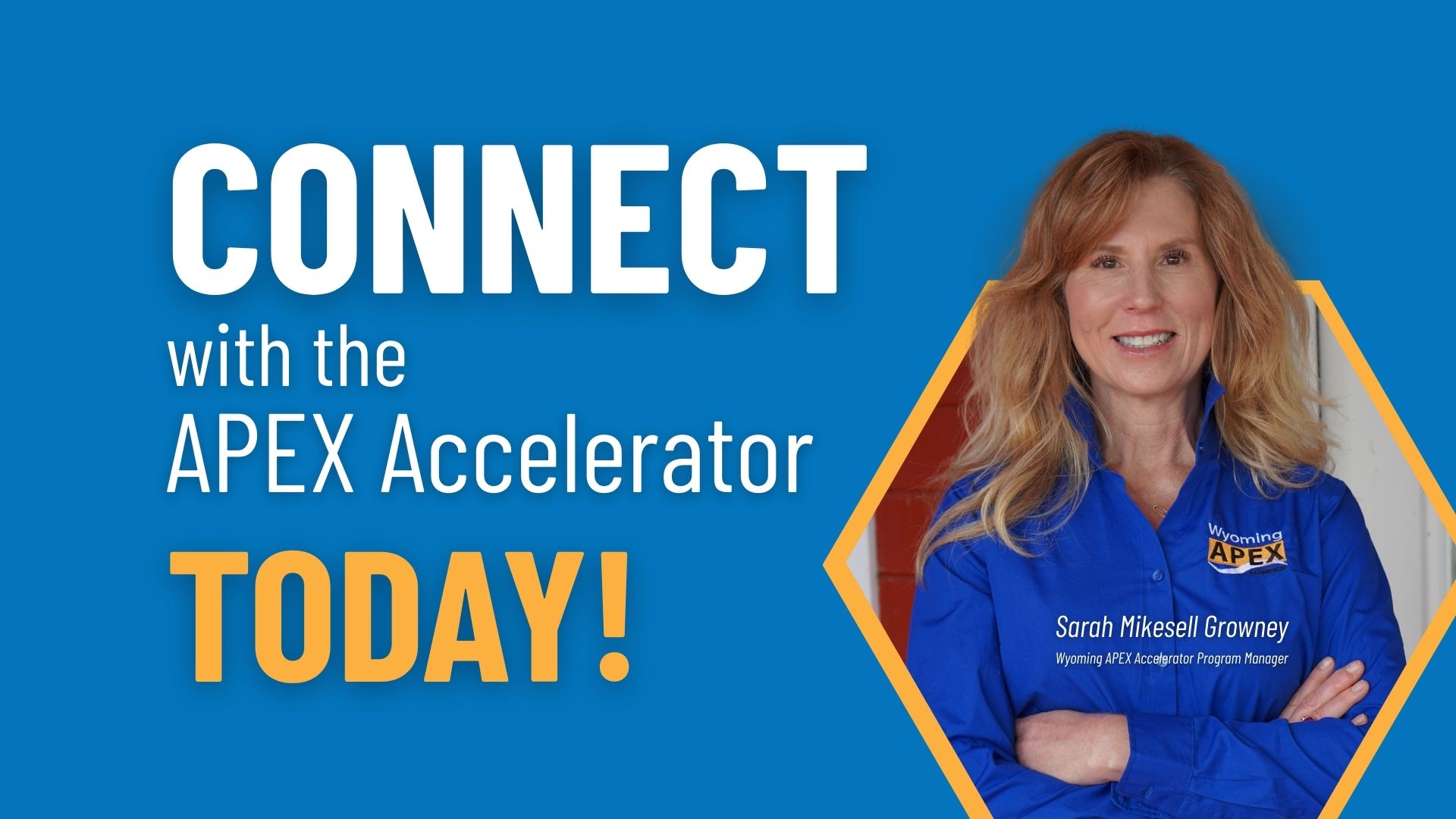 Contact APEX Advisor