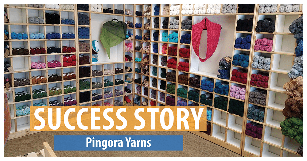 Pingora Yarns [Success Story]