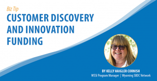 Biz Tip: Customer Discovery and Innovation Funding. By Kelly Haigler Cornish, WSSI Program Manager, Wyoming SBDC Network