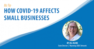 How COVID-19 Affects Small Businesses. By Jill Kline State Director., Wyoming SBDC Network.
