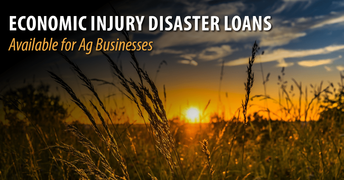 Economic Injury Disaster Loans Available for Ag Businesses