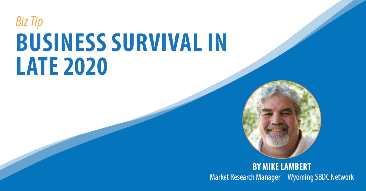 Business Survival in Late 2020