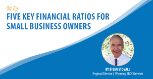 Biz Tip: Five Key Financial Ratios for Small Business Owners. By Steen Stovall. Wyoming SBDC Network Regional Director.
