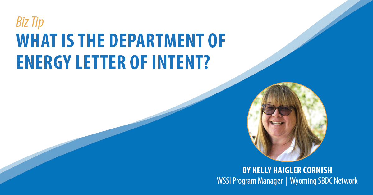What is the Department of Energy Letter of Intent?